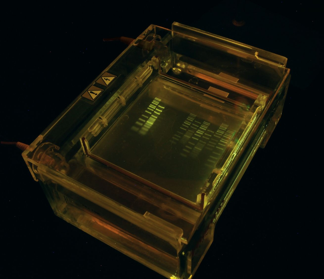 DNA-in-gel-box.jpg