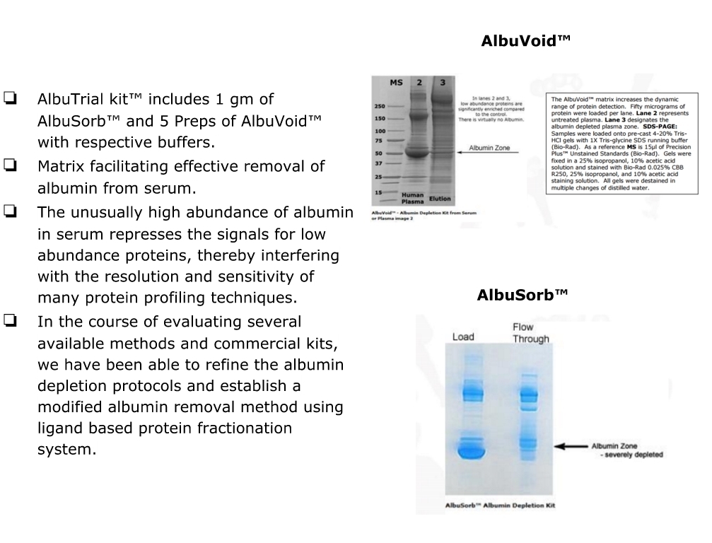 AlbuTrial Kit™ - AlbuVoid + AlbuSorb白蛋白去除及低丰度蛋白富集试剂盒