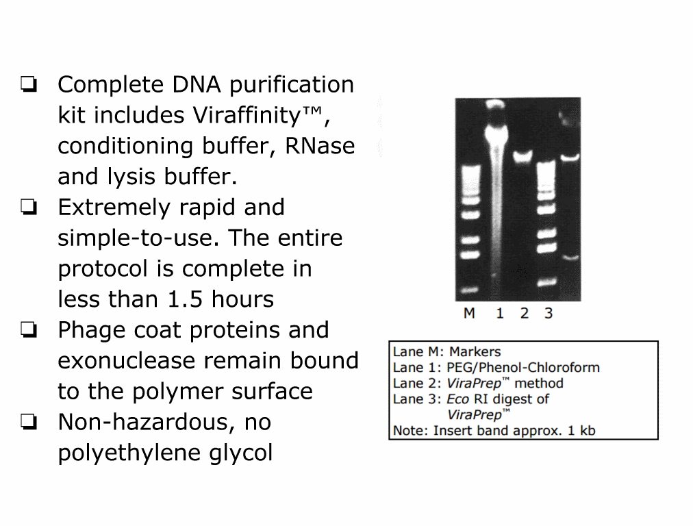 ViraPrep™ Lambda DNA纯化试剂盒(含Viraffinity)
