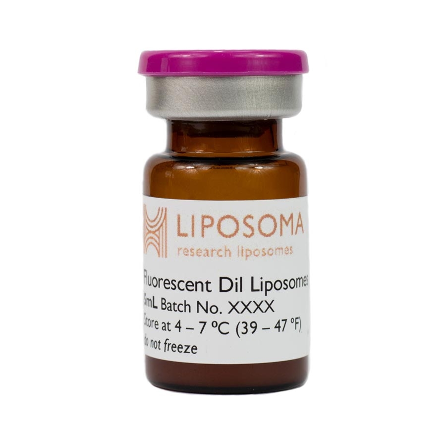 FLUORESCENT DiI LIPOSOMES 荧光素Dil脂质体