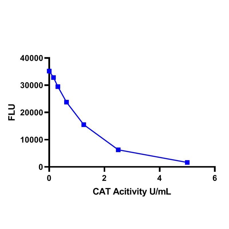 Catalase Activity Assay Kit (Fluorometric)过氧化氢酶活性测定试剂盒(荧光法)
