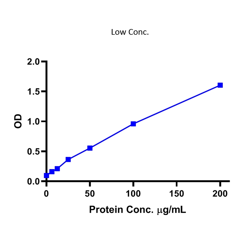 BCA Protein Detection Assay Kit(Colorimetric)BCA蛋白检测试剂盒(比色法)