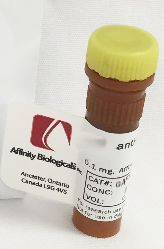 Non-immune Sheep Antibody – FITC Conjugated