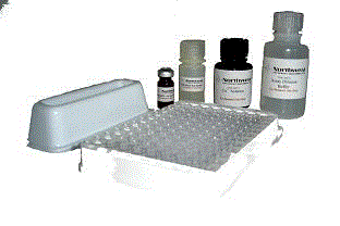抗氧化还原能力（抗氧化状态）检测试剂盒