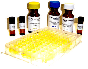 谷胱甘肽检测试剂盒 Glutathione (GSH/GSSG) Assay Kit