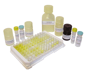人过氧化还原酶1 ELISA试剂盒 Human Peroxiredoxin 1 (Prx1) ELISA Kit