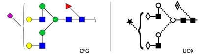 A1F glycan (FA2G2S1, G2FS1)，A1F多糖标准品(FA2G2S1, G2FS1)
