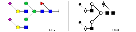 A2F glycan (FA2G2S2, G2FS2)，A2F多糖标准品(FA2G2S2, G2FS2)