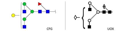 FA2G1 glycan (G1F)，FA2G1多糖标准品(G1F)