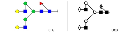 NA2F glycan (FA2G2, G2F)，NA2F多糖标准品(FA2G2, G2F)
