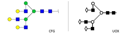NA3 glycan (A3G3)，NA3多糖标准品(A3G3)