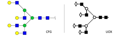 NA4 glycan (A4G4)，NA4多糖标准品(A4G4)