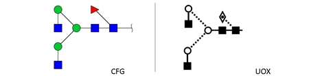 NGA2F glycan (FA2, G0F)，NGA2F多糖标准品(FA2, G0F)