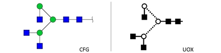 NGA3 glycan (A3)，NGA3多糖标准品(A3)
