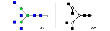 NGA4 glycan (A4)，NGA4多糖标准品(A4)