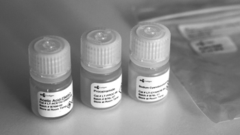 LudgerTag Procainamide Glycan Labeling Kit，普鲁卡因胺多糖标记试剂盒
