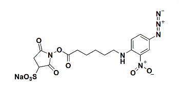 Sulfo-SANPAH Crosslinker