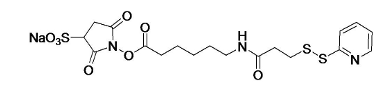 Sulfo-LC-SPDP Crosslinker  