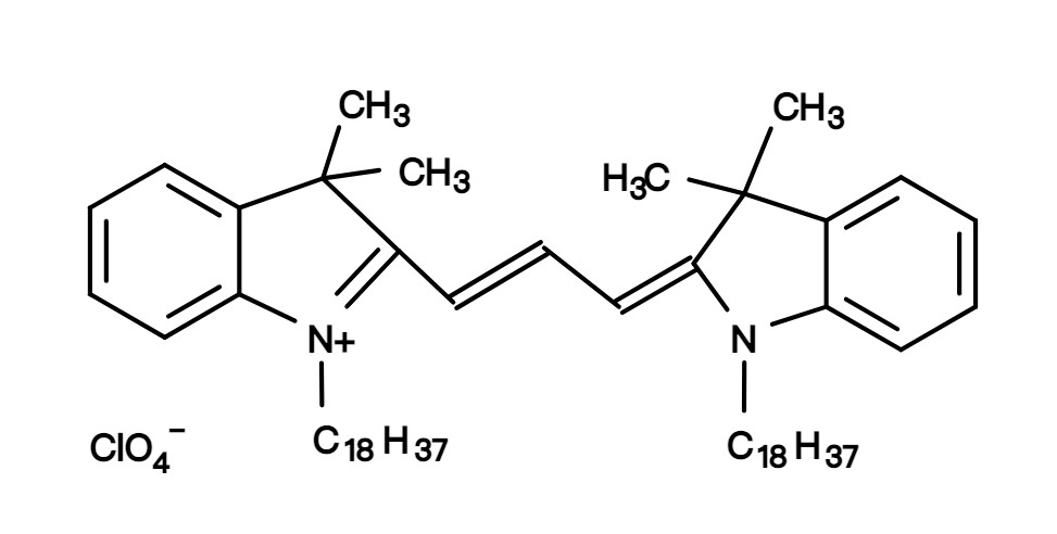 DiI perchlorate [1,1-Dioctadecyl-3,3,3,3-tetramethylindocarbocya