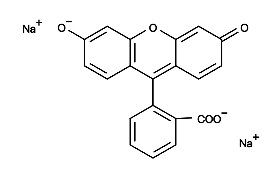 Fluorescein, disodium salt *CAS 518-47-8*