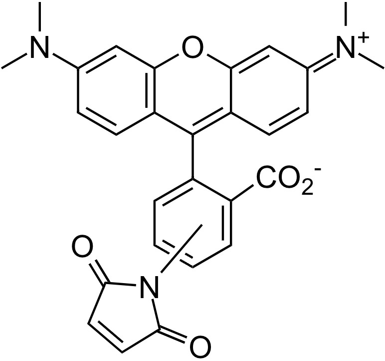 5(6)-TAMRA Maleimide [Tetramethylrhodamine-5-(and-6)-maleimide] 
