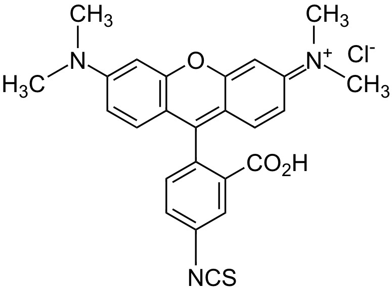5-TRITC [Tetramethylrhodamine-5-isothiocyanate] *CAS 80724-19-2*