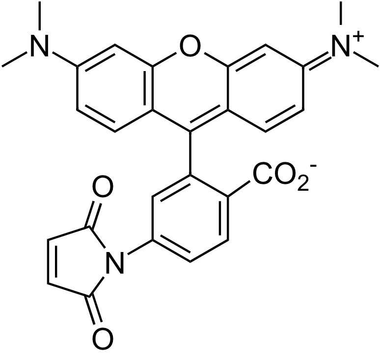 6-TAMRA Maleimide [Tetramethylrhodamine-6-maleimide] *CAS 174568