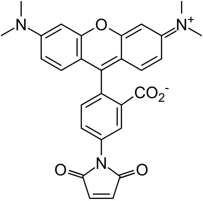 5-TAMRA Maleimide [Tetramethylrhodamine-5-maleimide] *CAS 174568