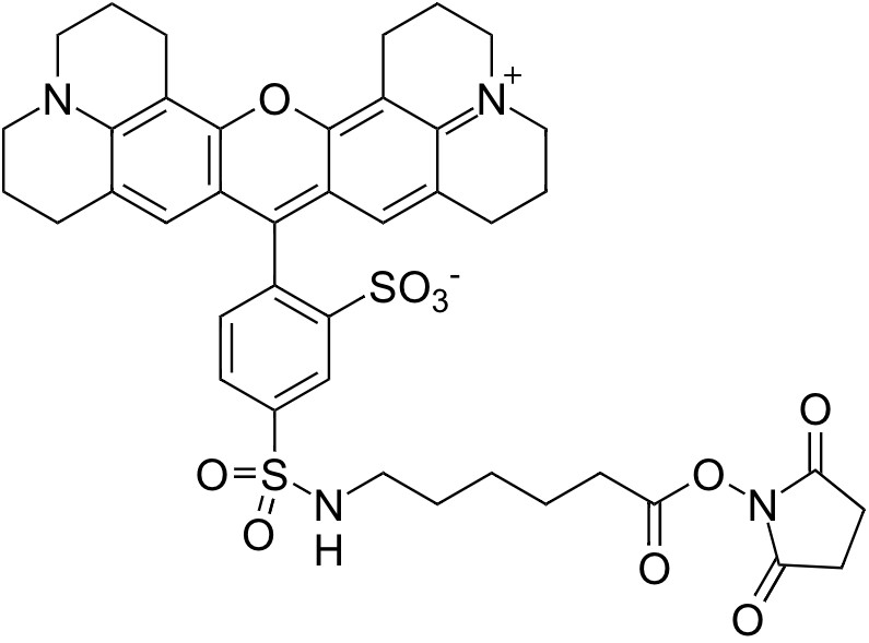 Texas Red-X, succinimidyl ester *Single isomer* *CAS 199745-67-0