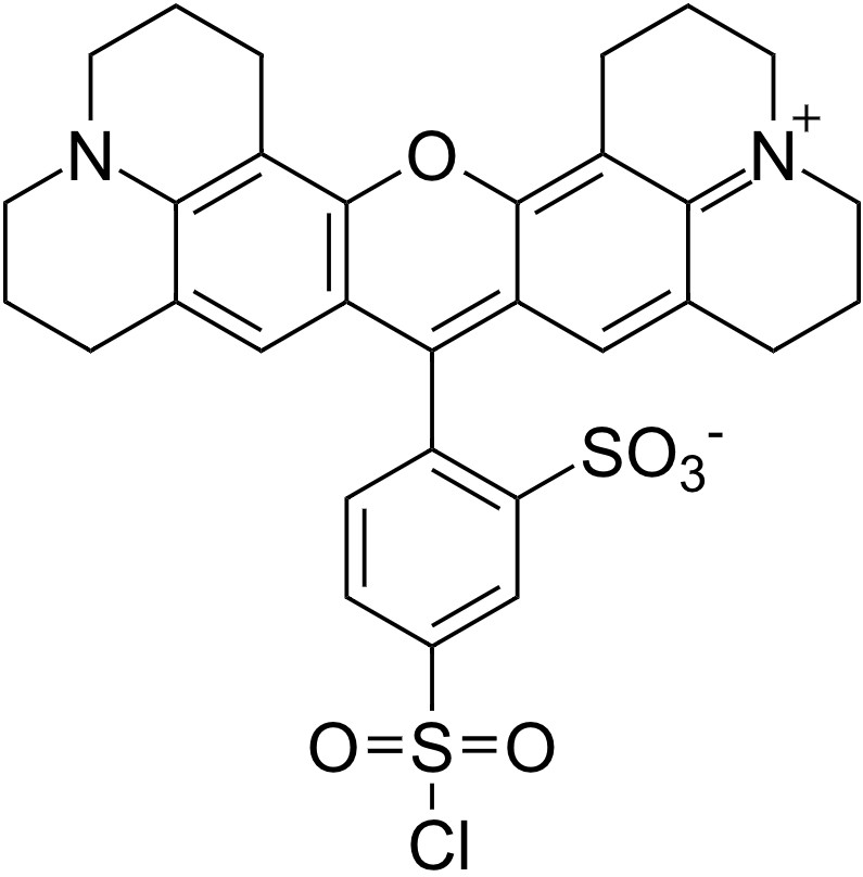 Sulforhodamine 101 sulfonyl chloride [Texas Red®] *CAS#: 82354-1