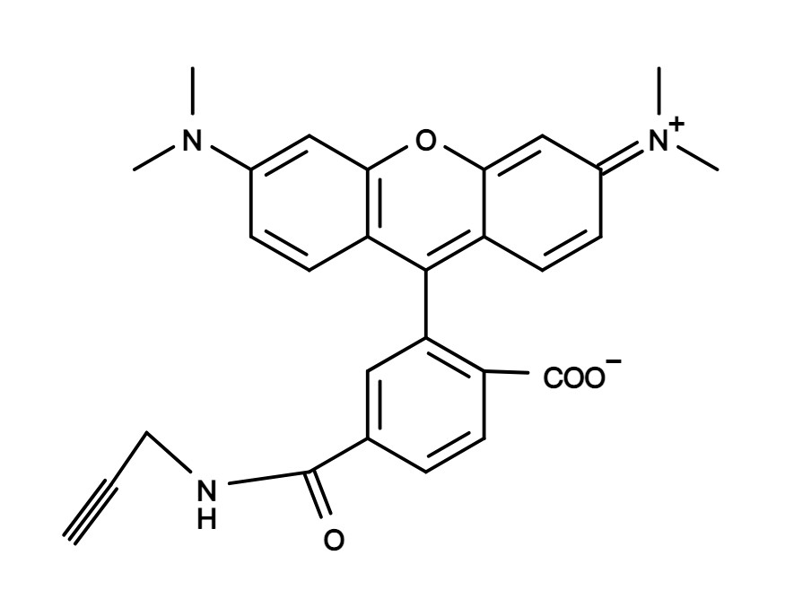 6-TAMRA alkyne