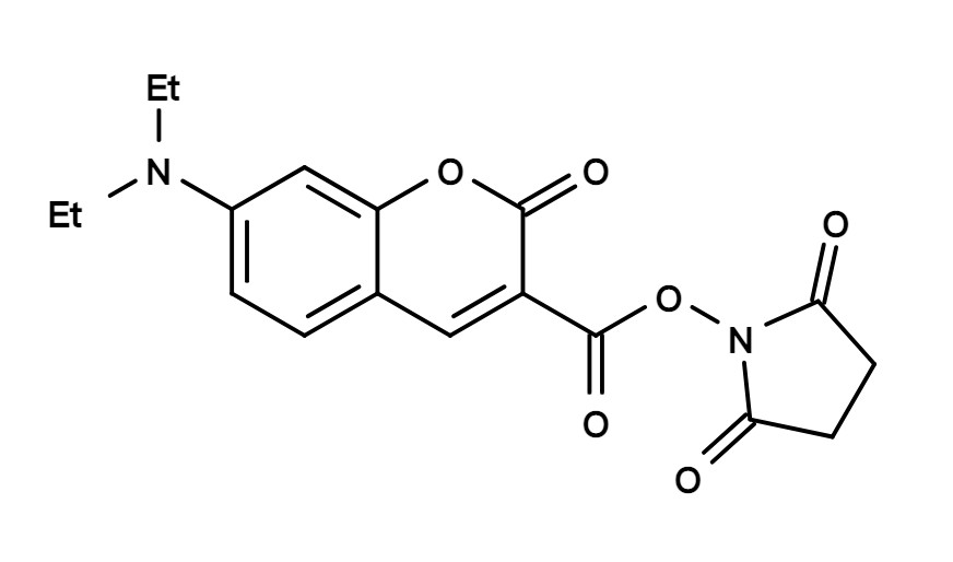 DEAC,SE [7-Diethylaminocoumarin-3-carboxylic acid, succinimidyl 