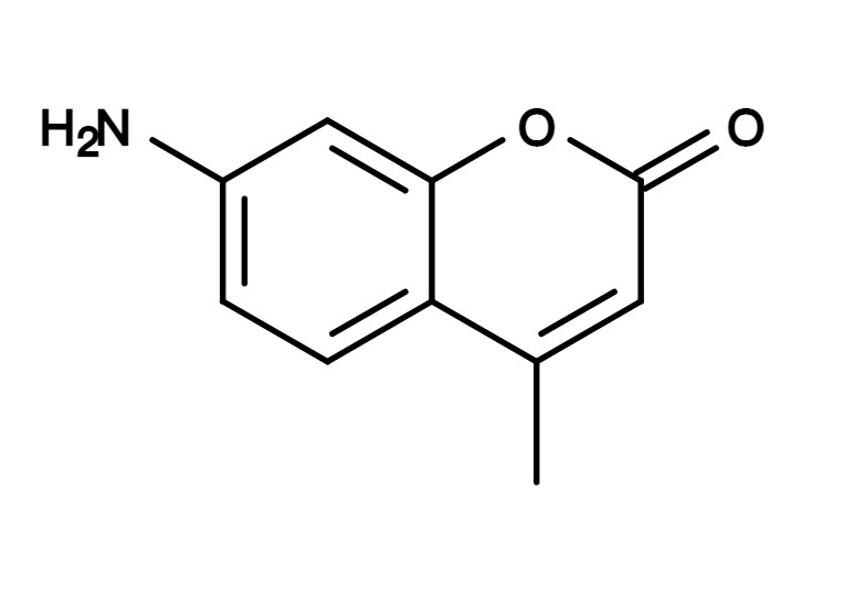 AMC [7-Amino-4-methylcoumarin] *CAS 26093-31-2*