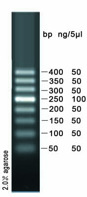 50bp DNA ladder (50-400bp)