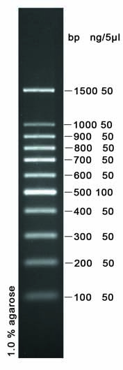100bp DNA ladder (100-1500bp)