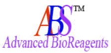 Advanced BioReagents Systems(ABSbio)