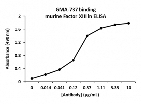 Rat Anti-Murine Factor XIII抗体(GMA-737)