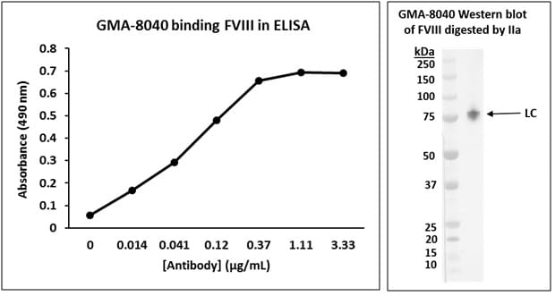 Murine Anti-Factor VIII抗体(GMA-8040)