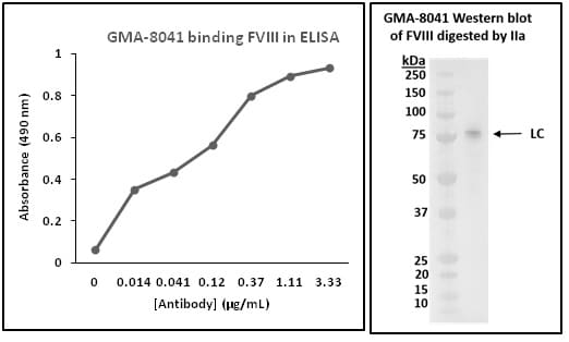 Murine Anti-Factor VIII抗体(GMA-8041)
